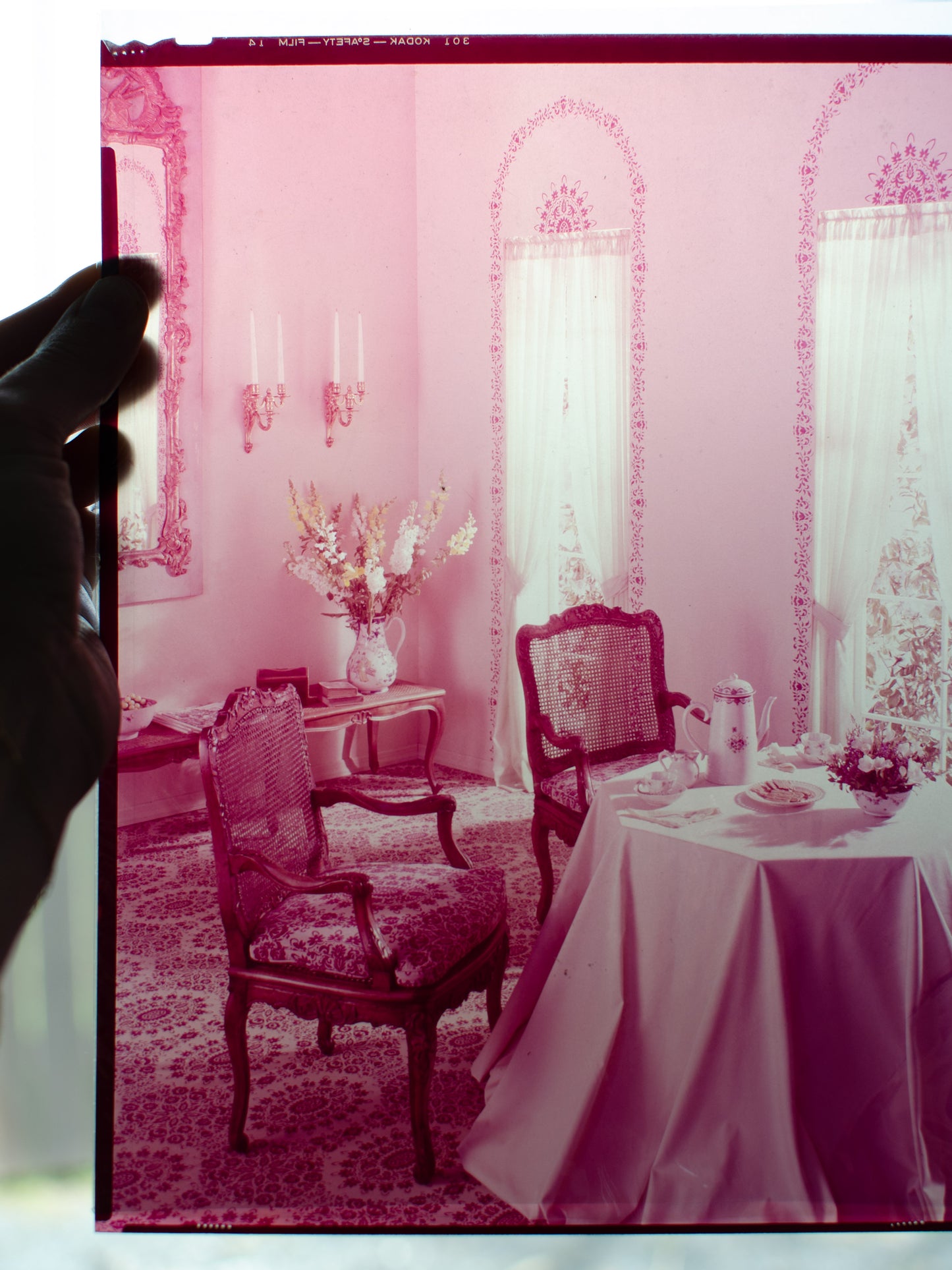 Redscale Film Negative