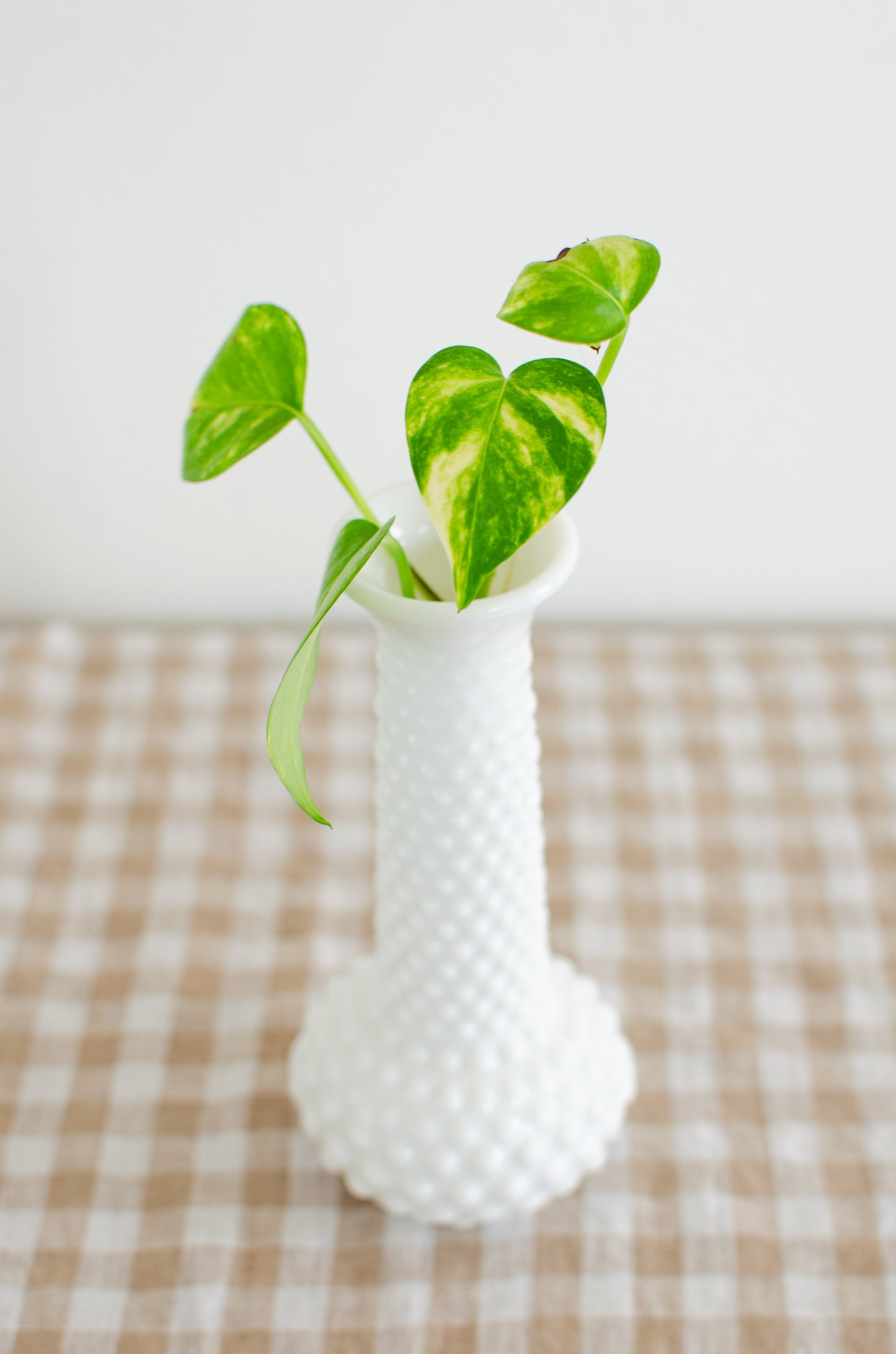 Hobnail Tall Neck Vase
