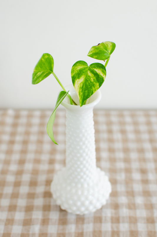 Hobnail Tall Neck Vase