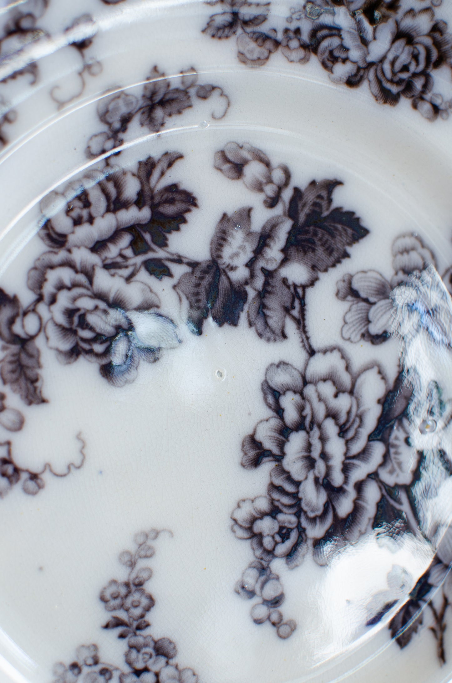 Floral Davenport Plate